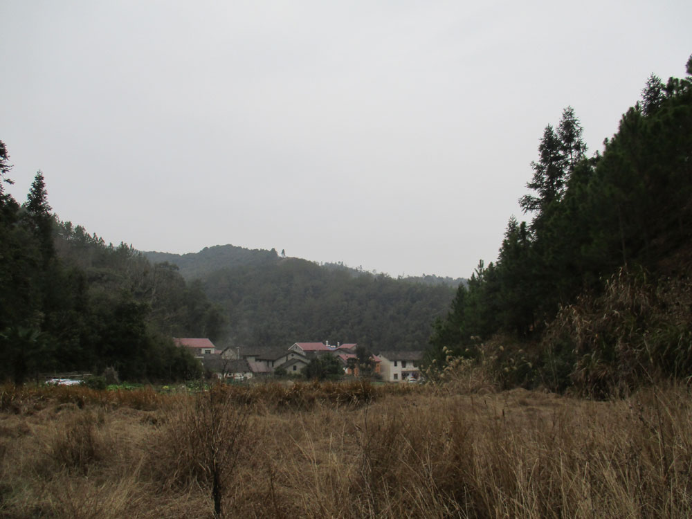 景德镇市金山村